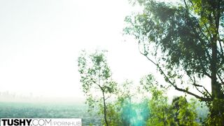 AJ Applegate az ügyvéd tanonc