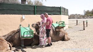 Méretes tőgyes arab spiné szexelése