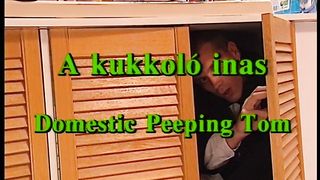 A kukkoló inas - Magyar szinkronos teljes erotikus videó