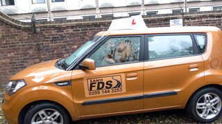Fake Driving School - Louise Lee szereti a méretes dákót