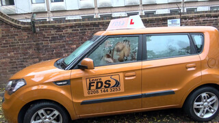 Fake Driving School - felnyírt hajú csajnak nem elég a autóban