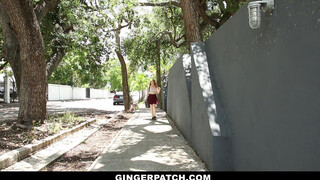 GingerPatch - szépséges pici vörös bige és a szomszédja